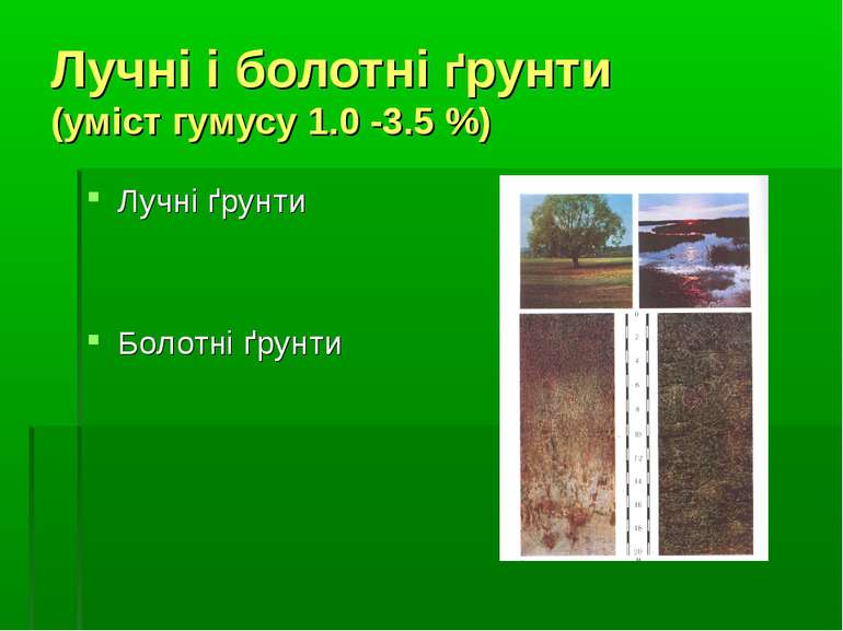 Лучні і болотні ґрунти (уміст гумусу 1.0 -3.5 %) Лучні ґрунти Болотні ґрунти