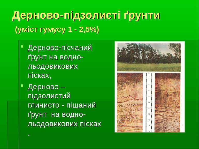 Дерново-підзолисті ґрунти (уміст гумусу 1 - 2,5%) Дерново-пісчаний ґрунт на в...