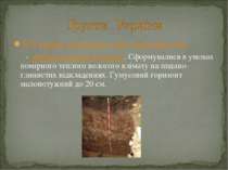 В Україні поширені такі типи ґрунтів: - дерново-підзолисті ґрунти. Сформували...