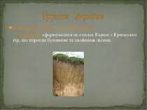 В Україні поширені такі типи ґрунтів: - буроземи сформувалися на схилах Карпа...