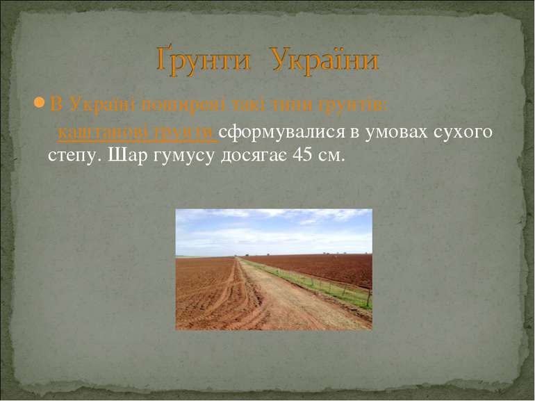 В Україні поширені такі типи ґрунтів: каштанові ґрунти сформувалися в умовах ...