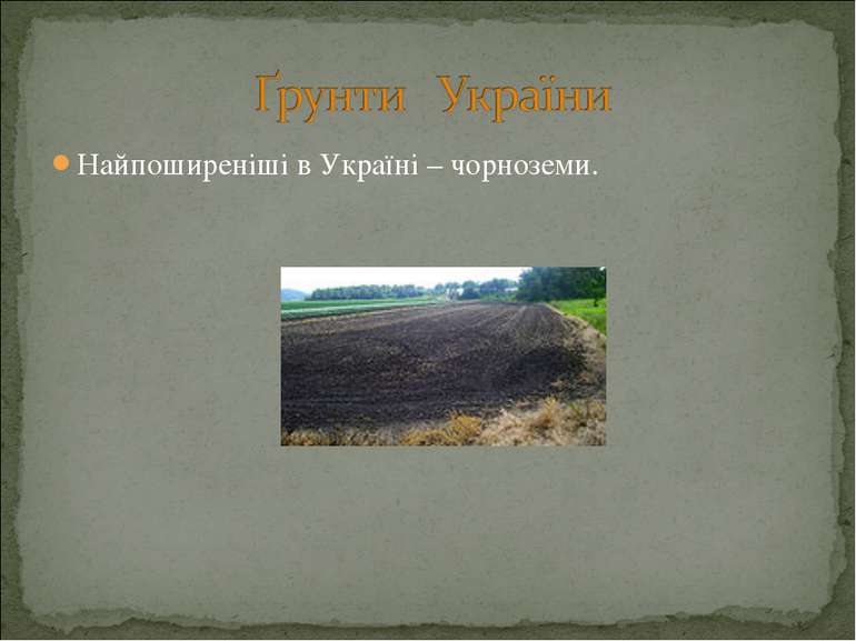Найпоширеніші в Україні – чорноземи.
