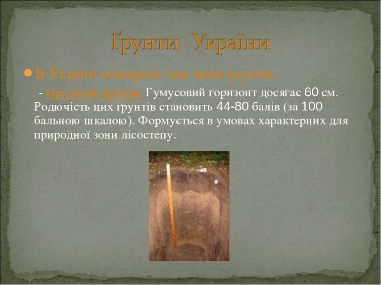 В Україні поширені такі типи ґрунтів: - сірі лісові ґрунти. Гумусовий горизон...