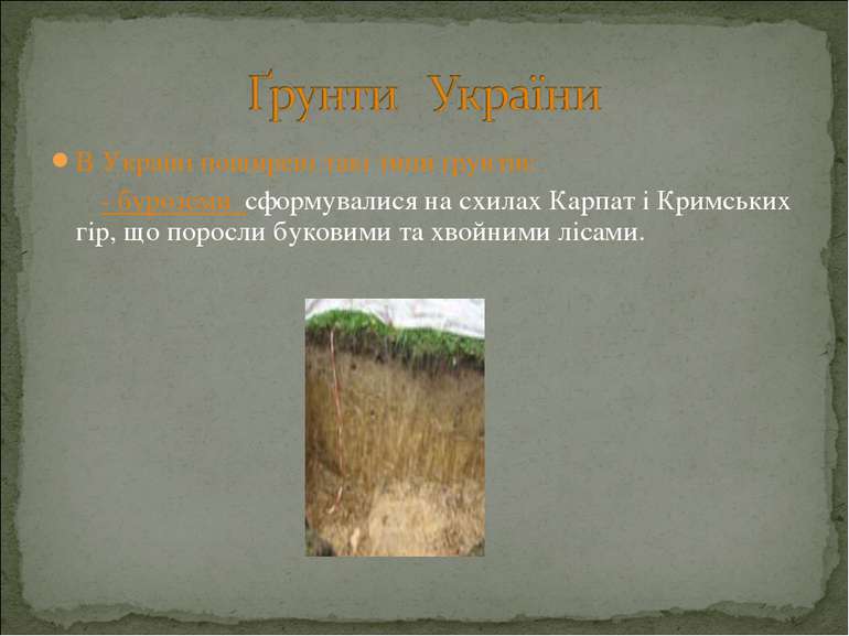В Україні поширені такі типи ґрунтів: - буроземи сформувалися на схилах Карпа...