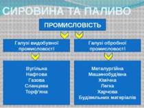 СИРОВИНА ТА ПАЛИВО ПРОМИСЛОВІСТЬ Галузі обробної промисловості Галузі видобув...