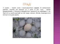 У травні – червні грози супроводжуються градом. В центральних районах України...