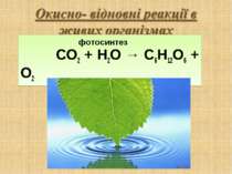 фотосинтез СО2 + Н2О → C6H12O6 + O2