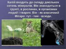 Калій входить до складу декількох сотень мінералів. Він знаходиться в грунті,...