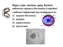 Ядро (лат. nucleus, грец. karion) забезпечує процеси біосинтезу й передачі сп...