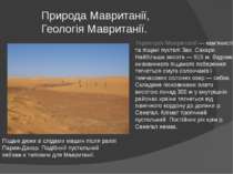Природа Мавританії, Геологія Мавританії. Територія Мавританії — кам'янисті та...