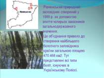 Рівненський природний заповідник створений у 1999 р. за допомогою злиття чоти...