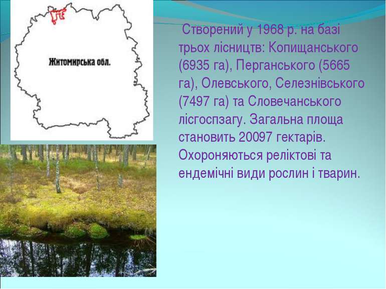 Створений у 1968 р. на базі трьох лісництв: Копищанського (6935 га), Пергансь...