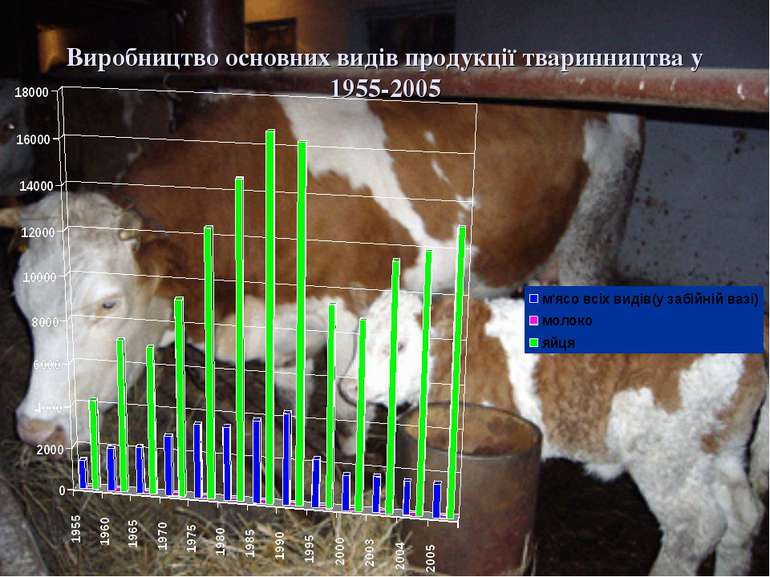 Виробництво основних видів продукції тваринництва у 1955-2005