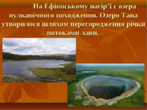 На Ефіопському нагір’ї є озера вулканічного походження. Озеро Тана утворилося...