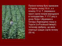 Паління тютюну було принесене в Україну в кінці 16 ст., а з початку 17 ст. Т....