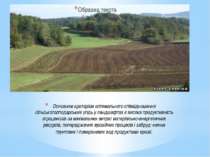 Основним критерієм оптимального співвідношення сільськогосподарських угідь у ...