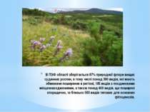 В ПЗФ області зберігається 87% природної флори вищих судинних рослин, в тому ...