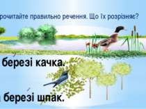 - Прочитайте правильно речення. Що їх розрізняє? На березі качка. На березі ш...