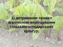 1) дотримання правил агротехніки вирощування сільськогосподарських культур;