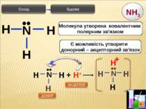 * H N H H •• Є можливість утворити донорний – акцепторний зв'язок Молекула ут...