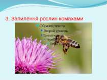 3. Запилення рослин комахами