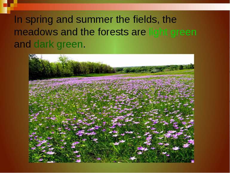 In spring and summer the fields, the meadows and the forests are light green ...