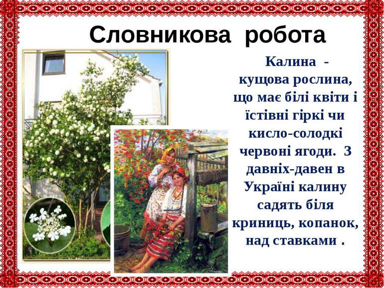 Словникова робота Калина - кущова рослина, що має білі квіти і їстівні гіркі ...