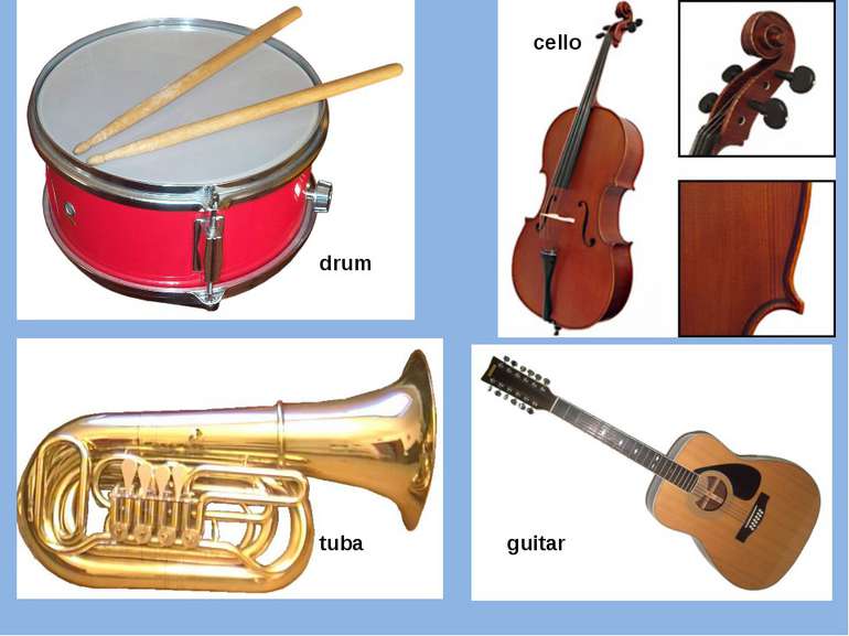 drum cello tuba guitar
