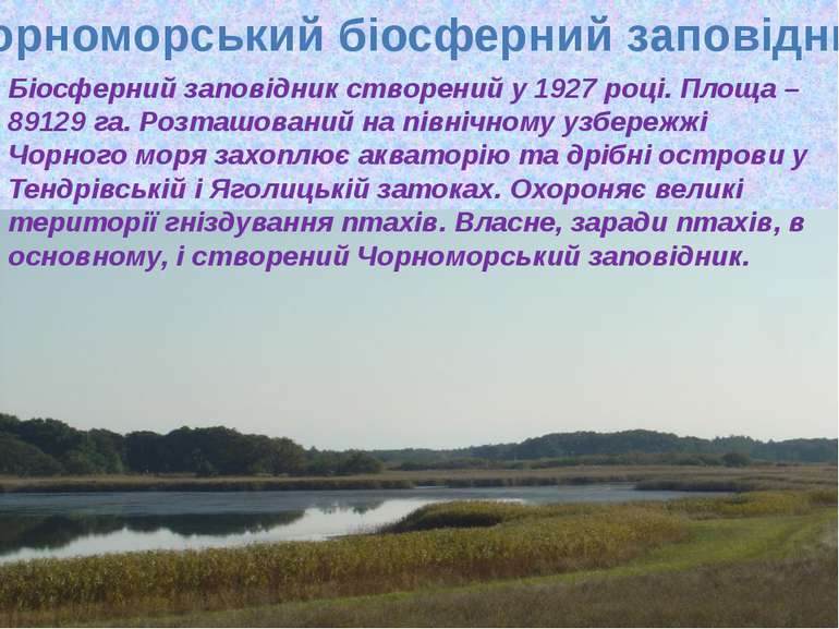 Чорноморський біосферний заповідник Біосферний заповідник створений у 1927 ро...