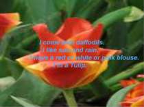 I come with daffodils. I like sun and rain. I have a red or white or pink blo...