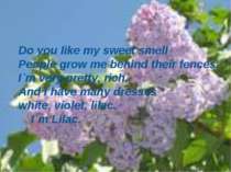 Do you like my sweet smell People grow me behind their fences. I`m very prett...