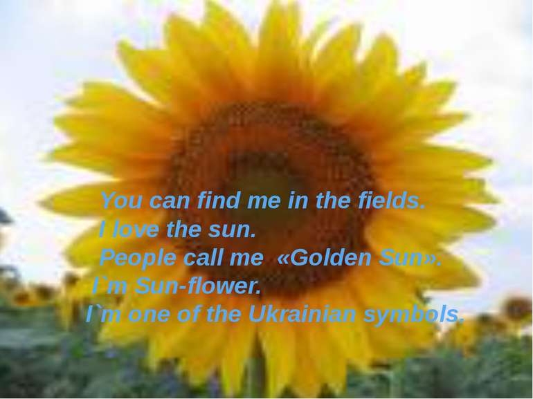 You can find me in the fields. I love the sun. People call me «Golden Sun». I...