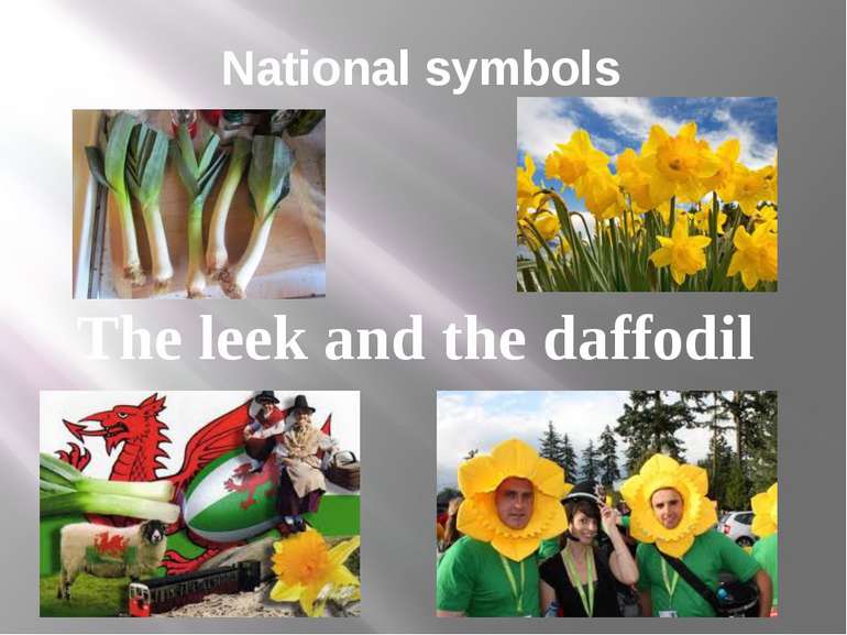 National symbols The leek and the daffodil