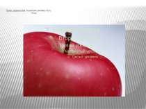 Група маркетологів: розробили рекламу збуту яблук.  