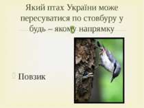 Повзик Який птах України може пересуватися по стовбуру у будь – якому напрямку