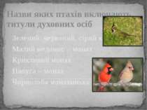Назви яких птахів включають титули духовних осіб Зелений, червоний, сірий кар...