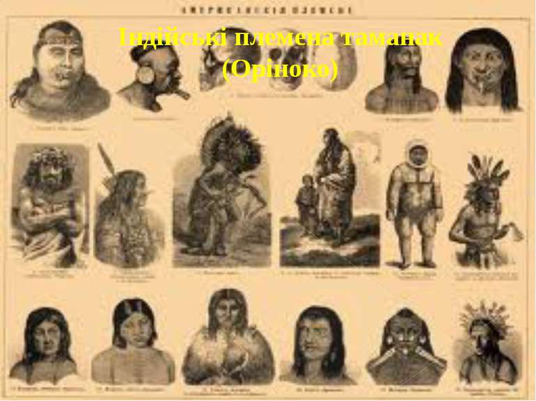 Індійські племена таманак (Оріноко)