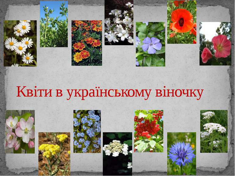 Квіти в українському віночку