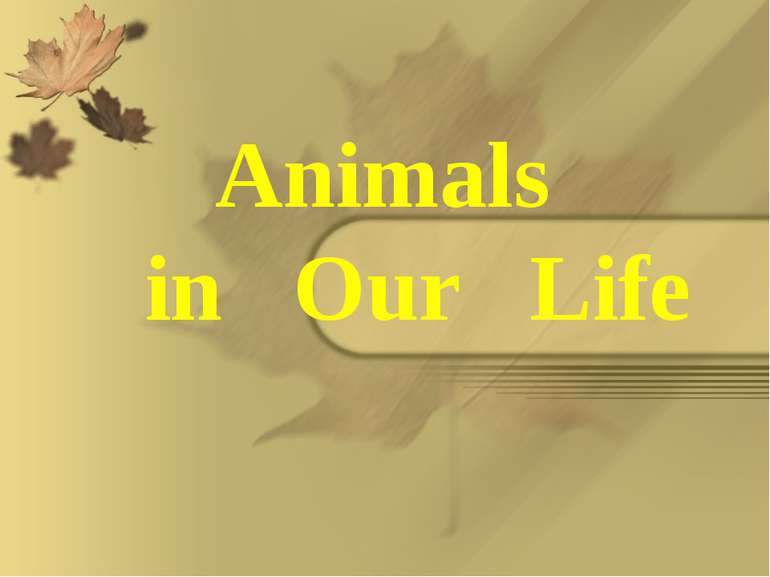 Animals in Our Life