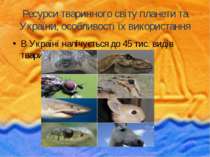 Ресурси тваринного світу планети та України, особливості їх використання В Ук...