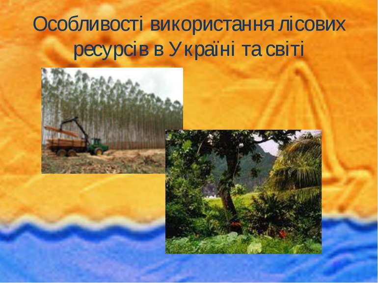 Особливості використання лісових ресурсів в Україні та світі