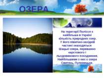 ОЗЕРА На території Полісся є найбільша в Україні кількість природних озер. У ...
