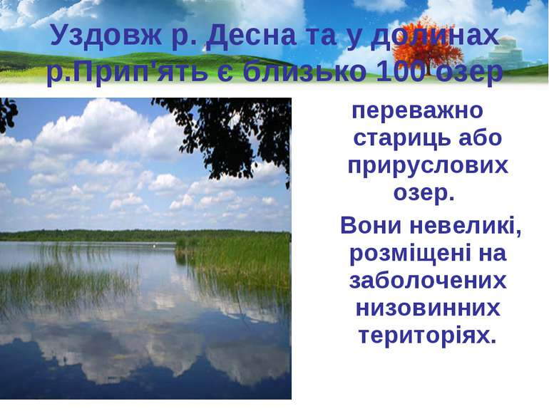 Уздовж р. Десна та у долинах р.Прип'ять є близько 100 озер переважно стариць ...