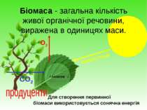 Біомаса - загальна кількість живої органічної речовини, виражена в одиницях м...