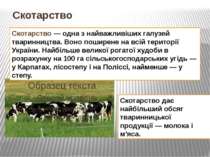 Скотарство Скотарство — одна з найважливіших галузей тваринництва. Воно пошир...