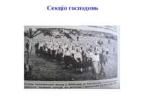 В цій книжці розповідається, що В 1788 р. в Україні в Почаївський Лаврі була ...