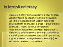 Із історії епістазу Явище епістазу було відкрите в ході аналізу успадкування ...