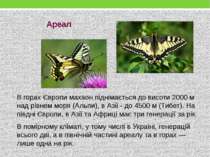 Ареал В горах Європи махаон піднімається до висоти 2000 м над рівнем моря (Ал...