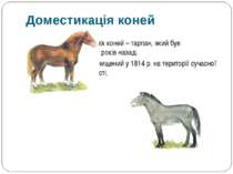 Дикий предок домашніх коней – тарпан, який був одомашнений 5-6 тис. років наз...