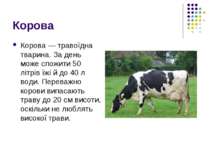 Корова Корова — травоїдна тварина. За день може спожити 50 літрів їжі й до 40...
